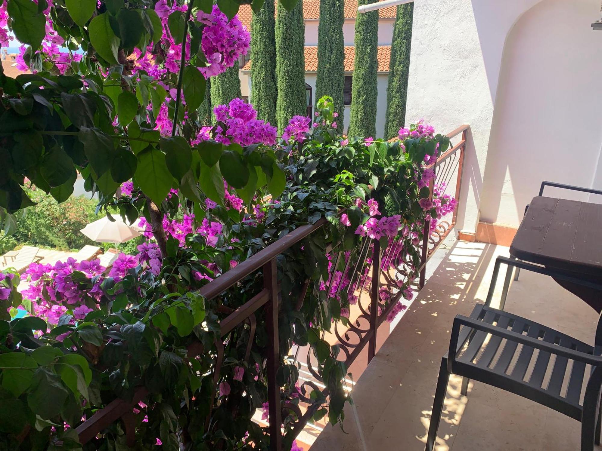Gargamelo Pension โปเรช ภายนอก รูปภาพ