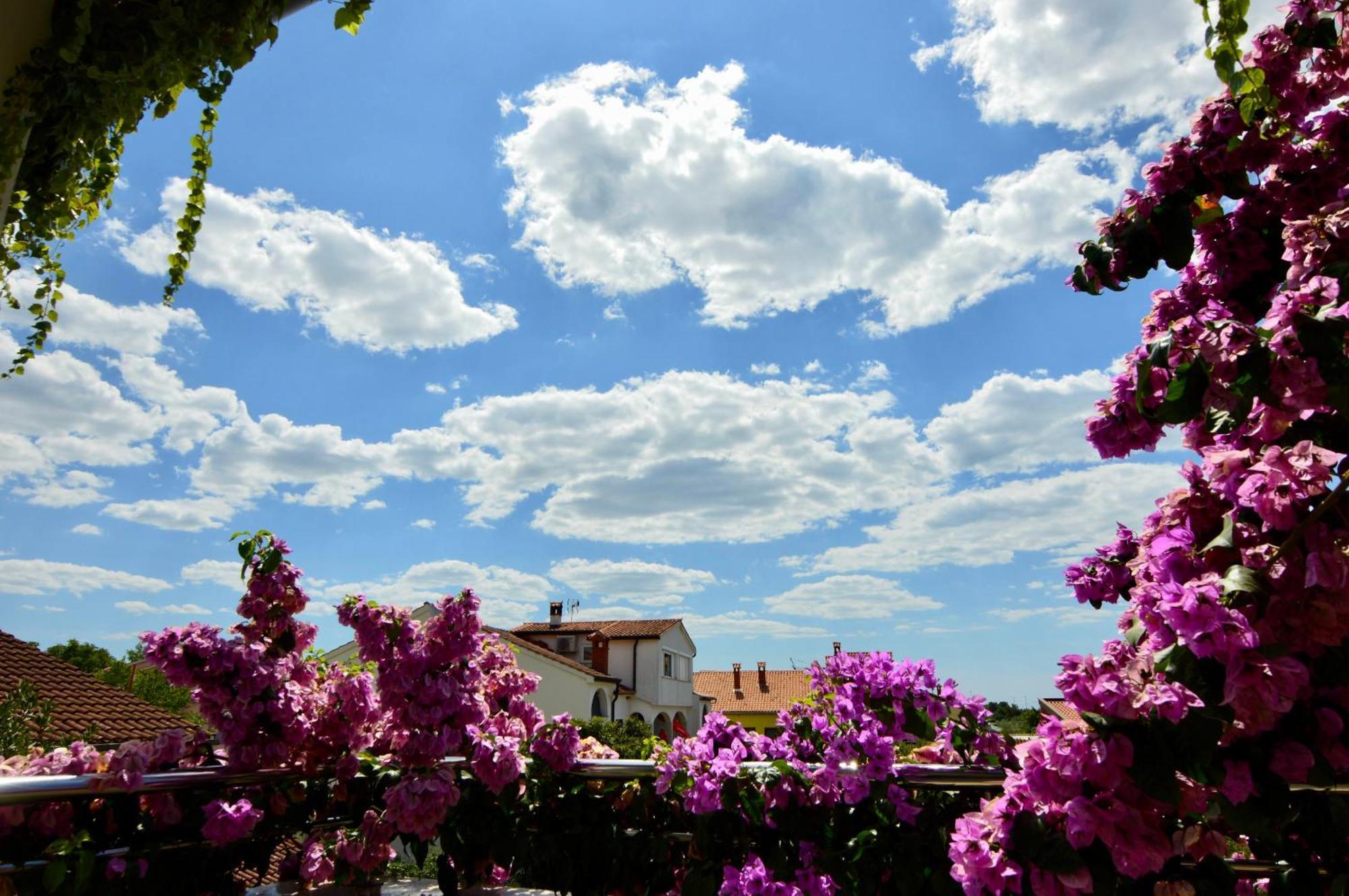 Gargamelo Pension โปเรช ภายนอก รูปภาพ